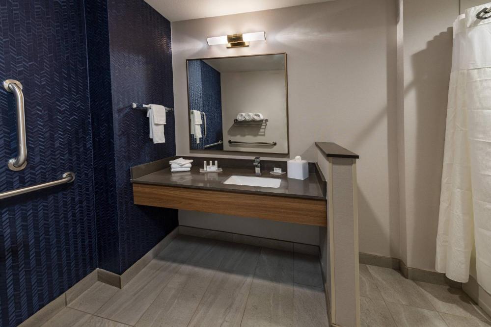 King Suite with Roll-In Shower and Sofa Bed - Mobility Access/Communication Assistance interior
